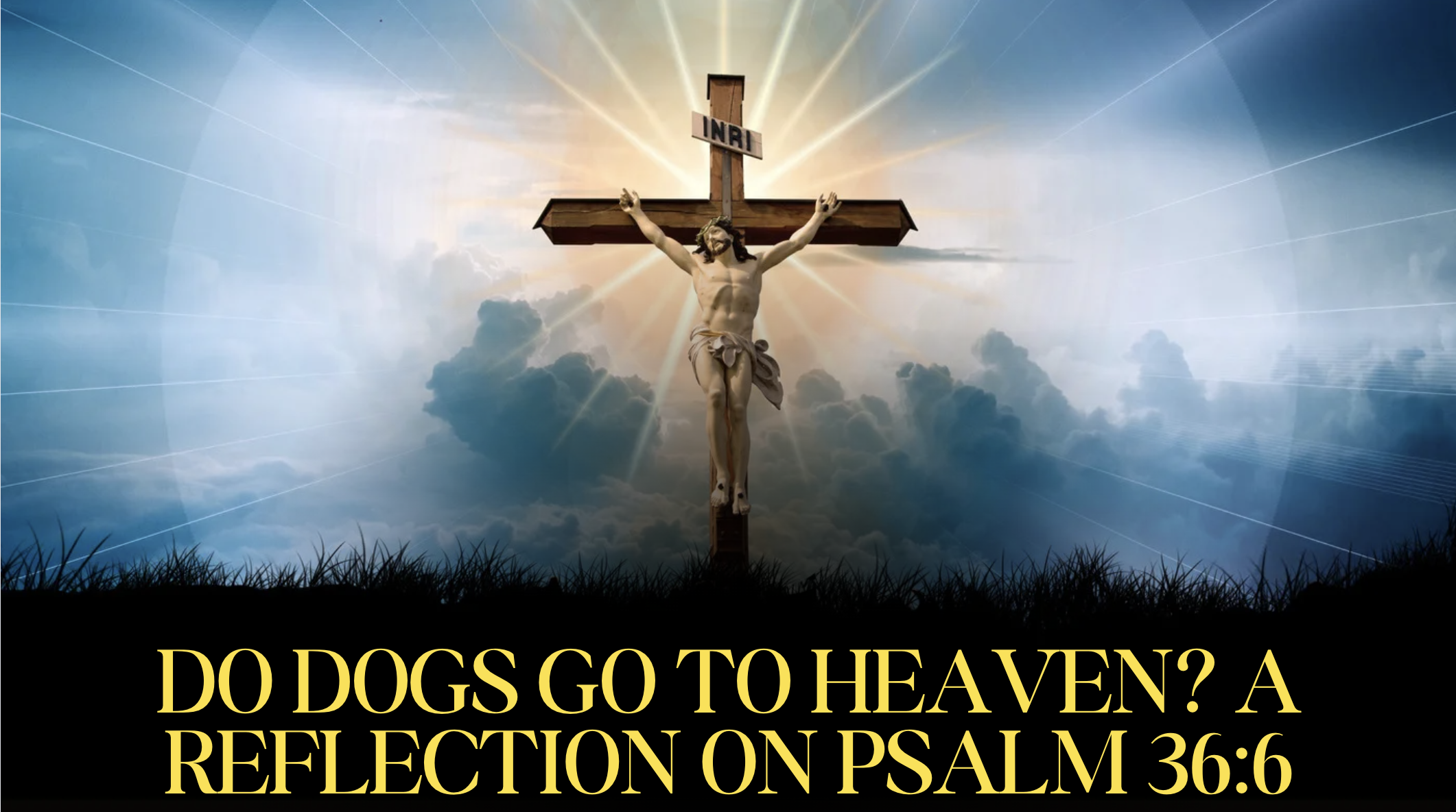 Do Dogs Go to Heaven? A Reflection on Psalm 36:6
